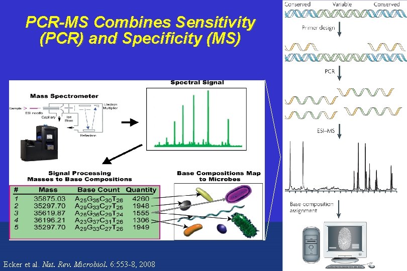 PCR-MS Combines Sensitivity (PCR) and Specificity (MS) Plex-ID Ecker et al. Nat. Rev. Microbiol.