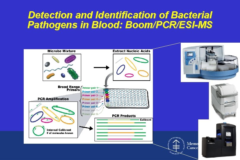 Detection and Identification of Bacterial Pathogens in Blood: Boom/PCR/ESI-MS 