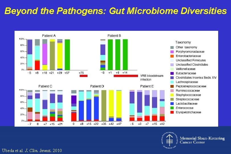 Beyond the Pathogens: Gut Microbiome Diversities Ubeda et al. J. Clin. Invest. 2010 
