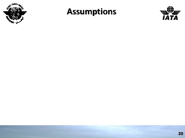 Assumptions 20 