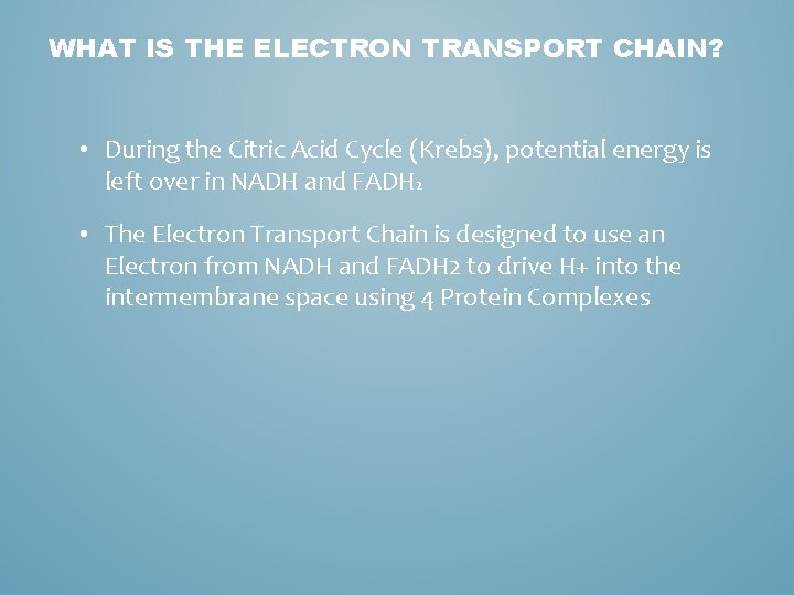 WHAT IS THE ELECTRON TRANSPORT CHAIN? • During the Citric Acid Cycle (Krebs), potential