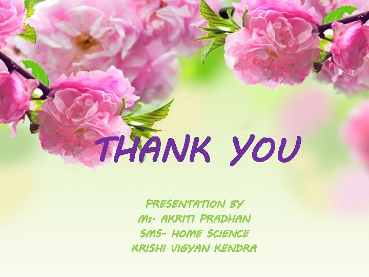 THANK YOU PRESENTATION BY Ms. AKRITI PRADHAN SMS- HOME SCIENCE KRISHI VIGYAN KENDRA THANK YOU PRESENTATION BY Ms. AKRITI PRADHAN SMS- HOME SCIENCE KRISHI VIGYAN KENDRA