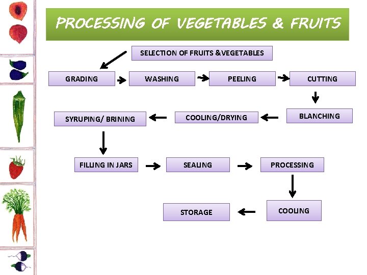 PROCESSING OF VEGETABLES & FRUITS SELECTION OF FRUITS &VEGETABLES GRADING SYRUPING/ BRINING FILLING IN