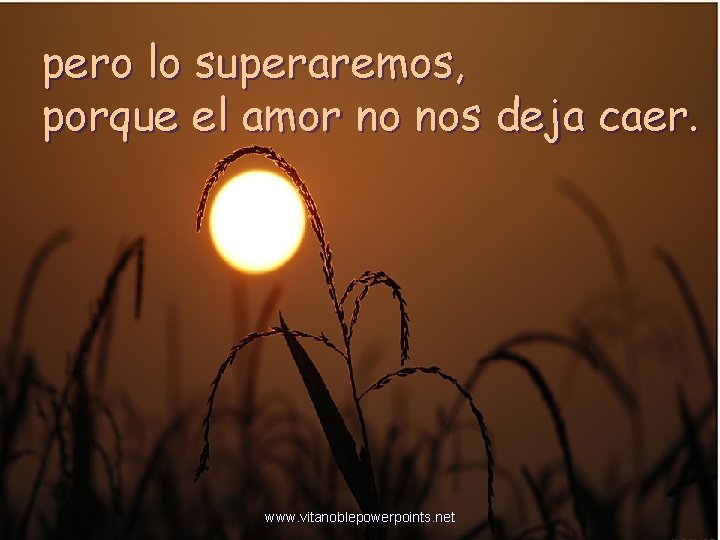 pero lo superaremos, porque el amor no nos deja caer. www. vitanoblepowerpoints. net 