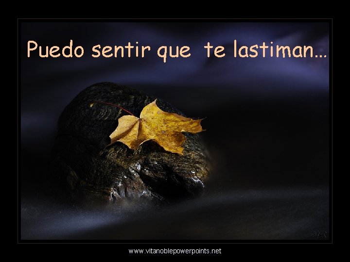 Puedo sentir que te lastiman… www. vitanoblepowerpoints. net 