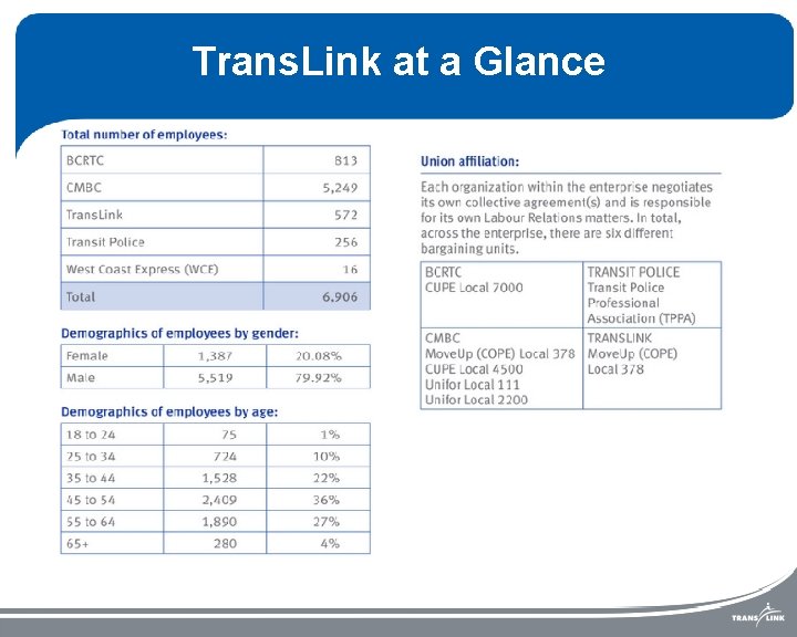 Trans. Link at a Glance 