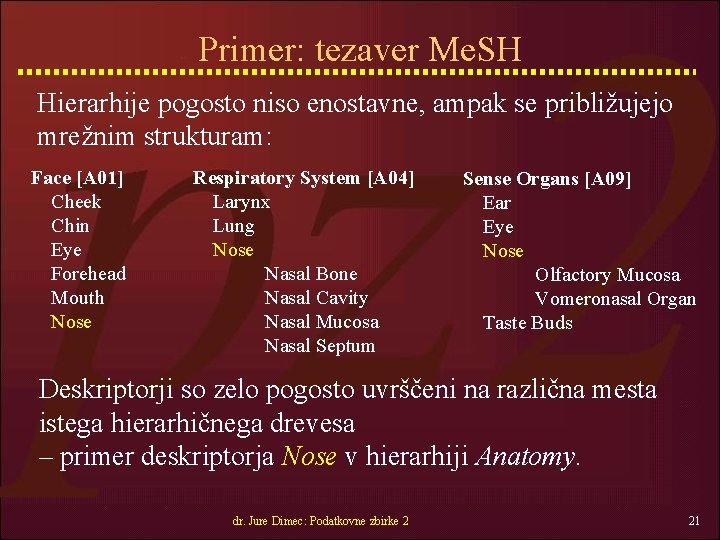 Primer: tezaver Me. SH Hierarhije pogosto niso enostavne, ampak se približujejo mrežnim strukturam: Face