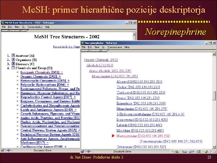 Me. SH: primer hierarhične pozicije deskriptorja Norepinephrine dr. Jure Dimec: Podatkovne zbirke 2 23