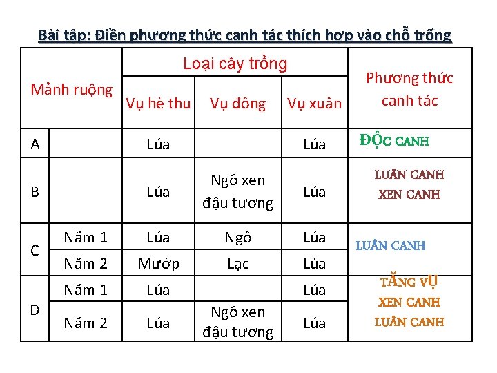 Bài tập: Điền phương thức canh tác thích hợp vào chỗ trống Loại cây