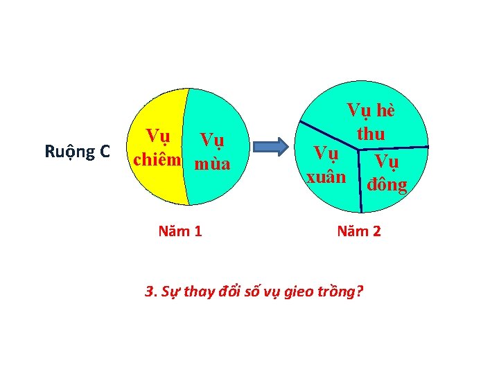 Ruộng C Vụ Vụ chiêm mùa Vụ hè thu Vụ Vụ xuân đông Năm