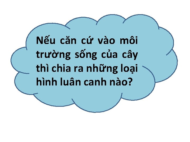 Nếu căn cứ vào môi trường sống của cây thì chia ra những loại
