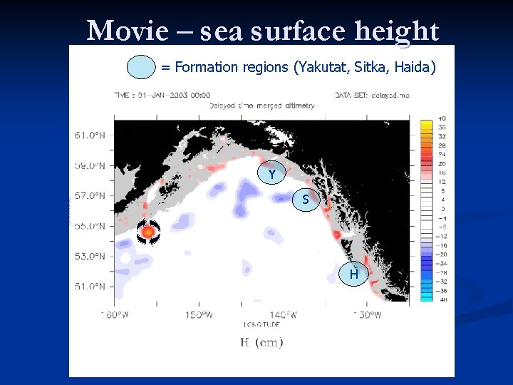 Movie – sea surface height = Formation regions (Yakutat, Sitka, Haida) Y S H