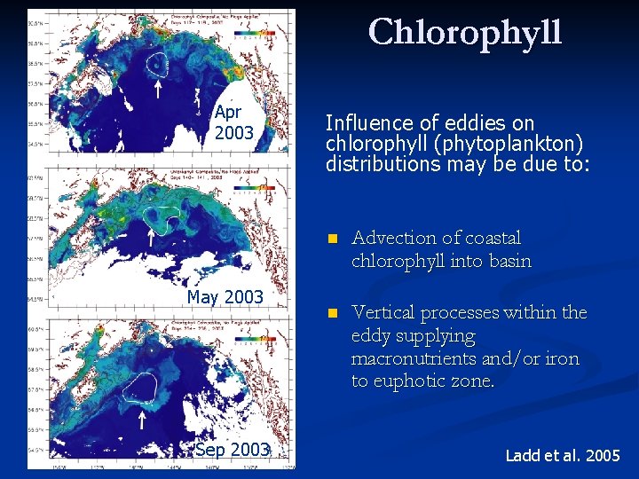 Chlorophyll Apr 2003 May 2003 Sep 2003 Influence of eddies on chlorophyll (phytoplankton) distributions