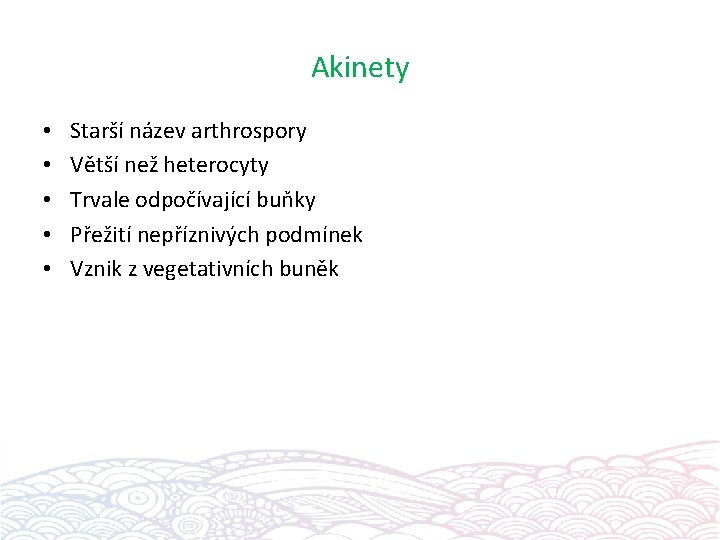Akinety • • • Starší název arthrospory Větší než heterocyty Trvale odpočívající buňky Přežití