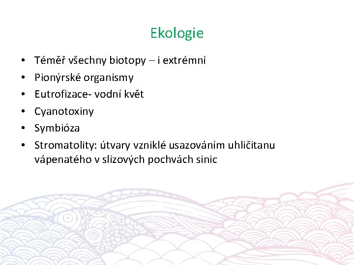 Ekologie • • • Téměř všechny biotopy – i extrémní Pionýrské organismy Eutrofizace- vodní