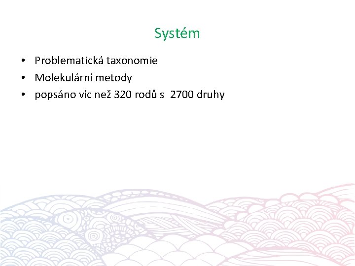 Systém • Problematická taxonomie • Molekulární metody • popsáno víc než 320 rodů s