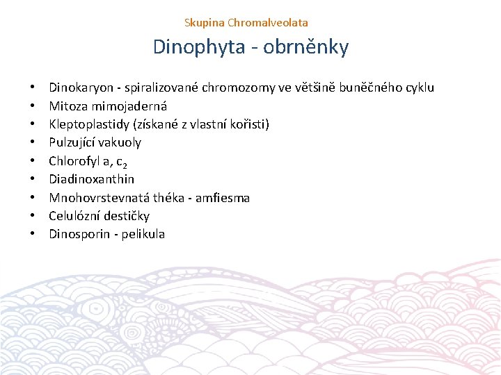 Skupina Chromalveolata Dinophyta - obrněnky • • • Dinokaryon - spiralizované chromozomy ve většině