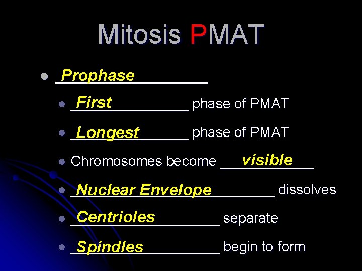 Mitosis PMAT l _________ Prophase l First ________ phase of PMAT l ________ phase