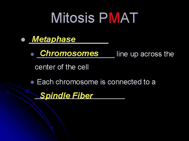 Mitosis PMAT l _________ Metaphase l Chromosomes __________ line up across the center of