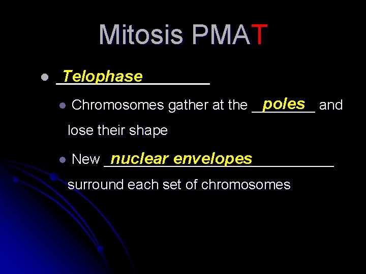 Mitosis PMAT l _________ Telophase l poles and Chromosomes gather at the ____ lose