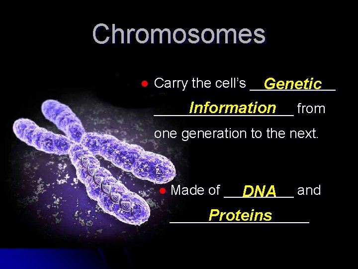 Chromosomes l Carry the cell’s ______ Genetic Information from _________ one generation to the
