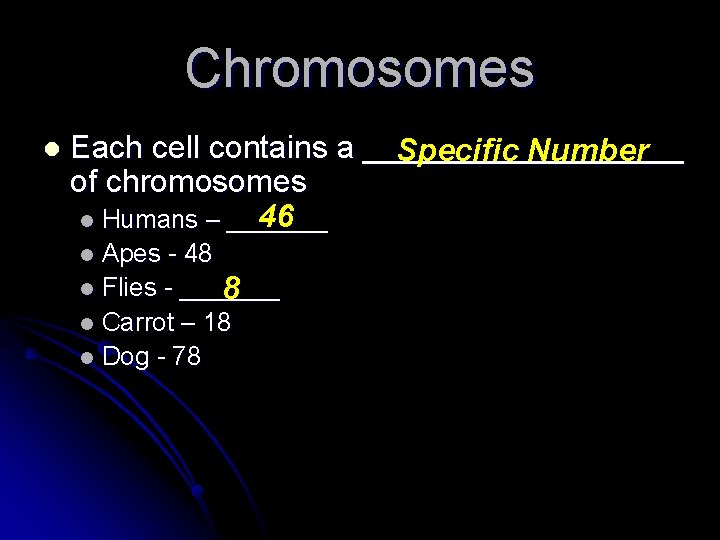 Chromosomes l Each cell contains a _________ Specific Number of chromosomes 46 l Humans