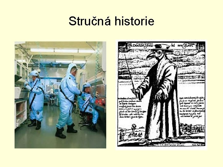 Stručná historie 