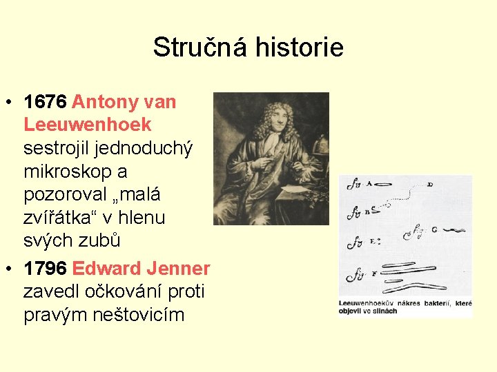 Stručná historie • 1676 Antony van Leeuwenhoek sestrojil jednoduchý mikroskop a pozoroval „malá zvířátka“