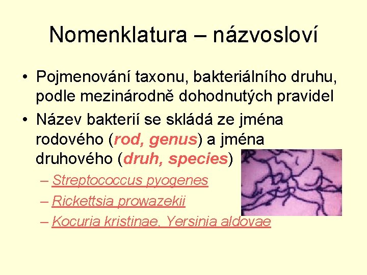 Nomenklatura – názvosloví • Pojmenování taxonu, bakteriálního druhu, podle mezinárodně dohodnutých pravidel • Název