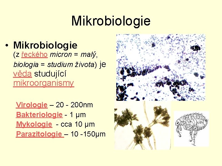 Mikrobiologie • Mikrobiologie (z řeckého micron = malý, biologia = studium života) je věda