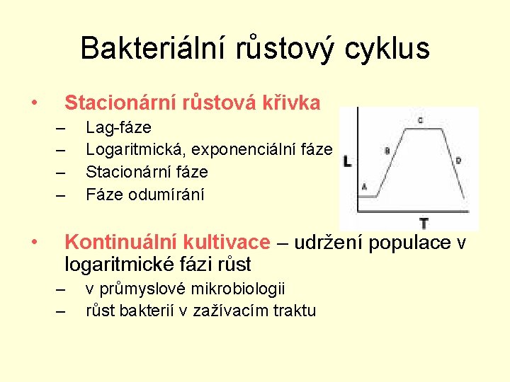 Bakteriální růstový cyklus • Stacionární růstová křivka – – • Lag-fáze Logaritmická, exponenciální fáze