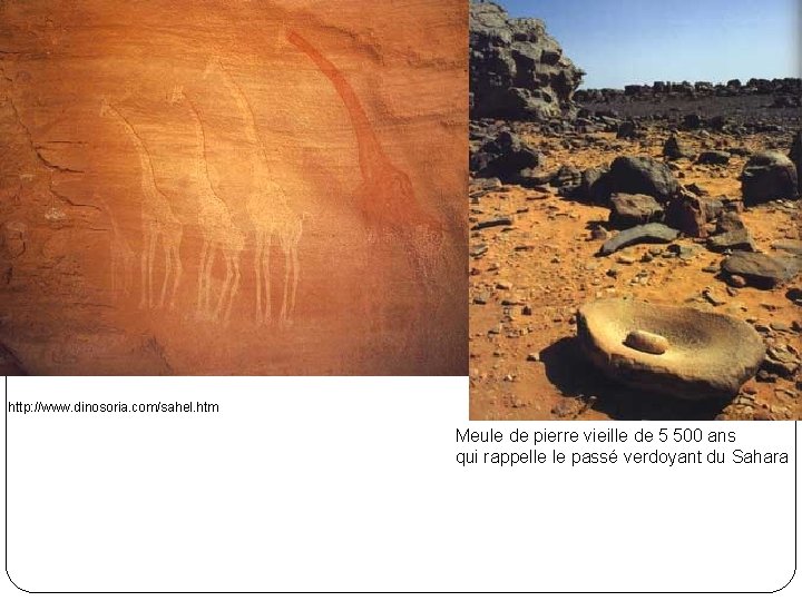 http: //www. dinosoria. com/sahel. htm Meule de pierre vieille de 5 500 ans qui