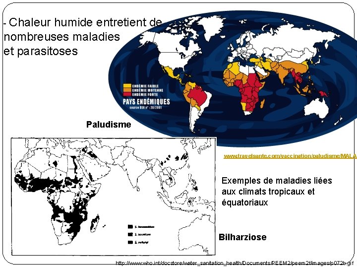 - Chaleur humide entretient de nombreuses maladies et parasitoses Paludisme www. travelsante. com/vaccination/paludisme/MALAD Exemples