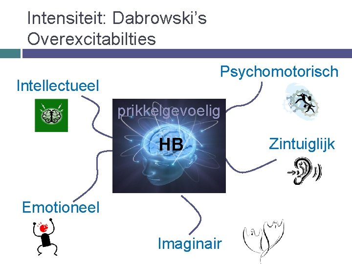 Intensiteit: Dabrowski’s Overexcitabilties Psychomotorisch Intellectueel prikkelgevoelig HB Emotioneel Imaginair Zintuiglijk 