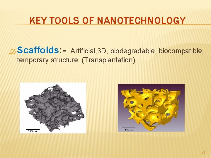 KEY TOOLS OF NANOTECHNOLOGY Scaffolds: - Artificial, 3 D, biodegradable, biocompatible, temporary structure. (Transplantation)