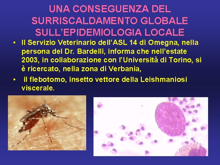 UNA CONSEGUENZA DEL SURRISCALDAMENTO GLOBALE SULL’EPIDEMIOLOGIA LOCALE • Il Servizio Veterinario dell’ASL 14 di