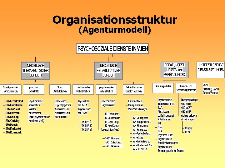 Organisationsstruktur (Agenturmodell) 