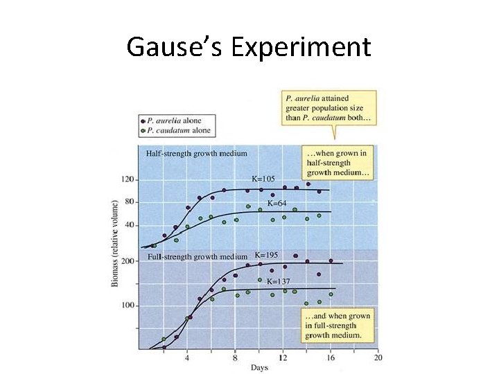 Gause’s Experiment 