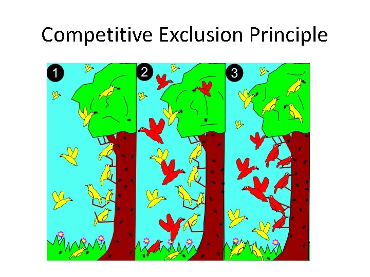 Competitive Exclusion Principle 