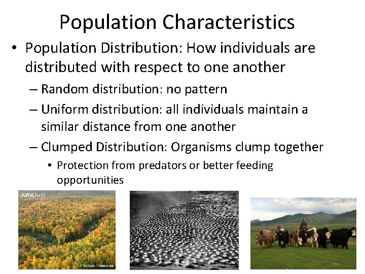 Population Characteristics • Population Distribution: How individuals are distributed with respect to one another
