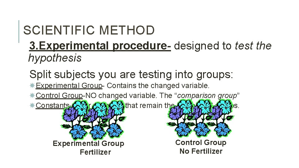 SCIENTIFIC METHOD 3. Experimental procedure- designed to test the hypothesis Split subjects you are