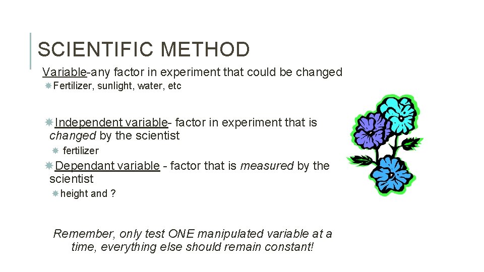 SCIENTIFIC METHOD Variable-any factor in experiment that could be changed Fertilizer, sunlight, water, etc