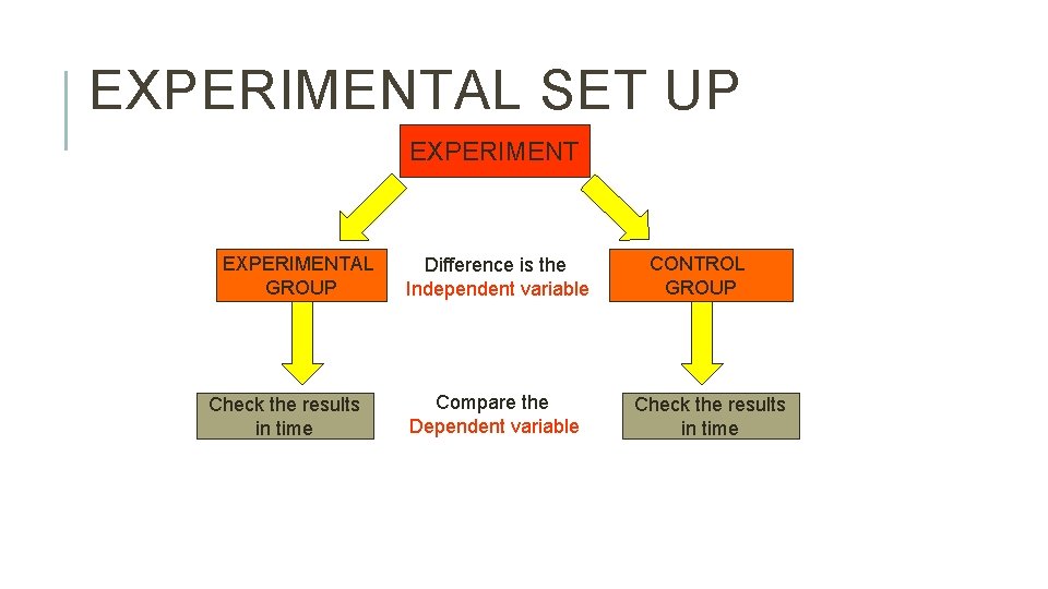 EXPERIMENTAL SET UP EXPERIMENTAL GROUP Check the results in time Difference is the Independent