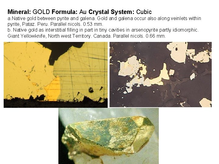 Mineral: GOLD Formula: Au Crystal System: Cubic a. Native gold between pyrite and galena.