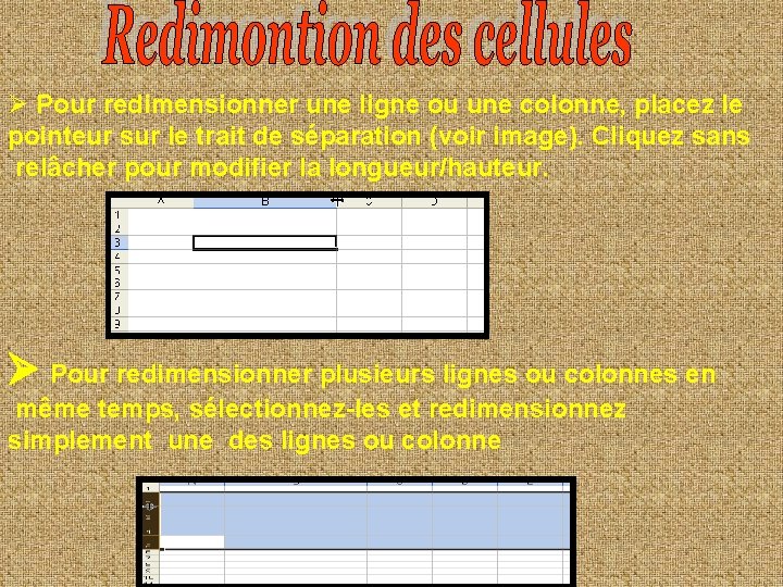 Ø Pour redimensionner une ligne ou une colonne, placez le pointeur sur le trait