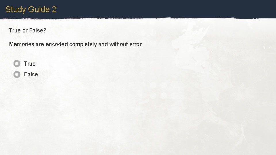 Study Guide 2 True or False? Memories are encoded completely and without error. True
