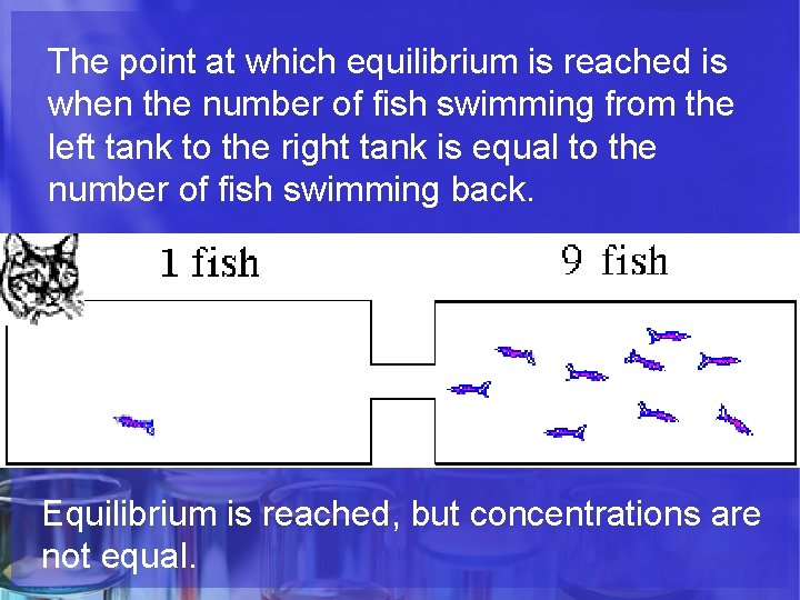 The point at which equilibrium is reached is when the number of fish swimming