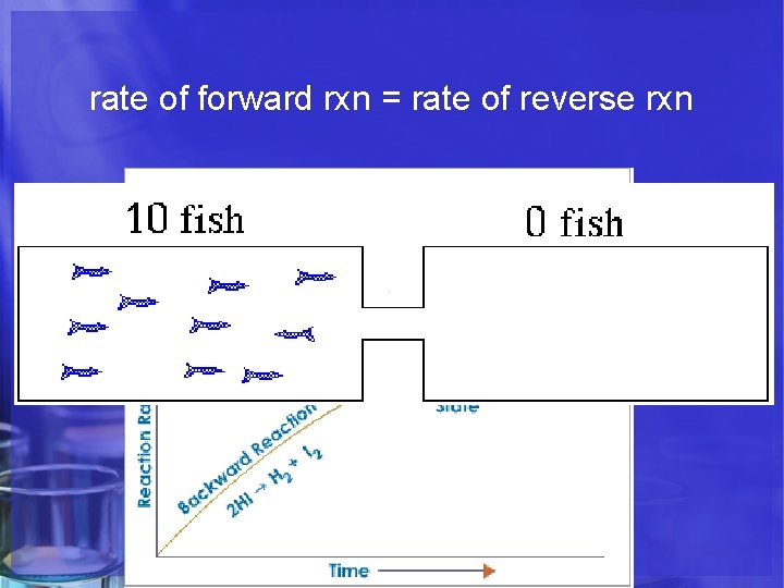 rate of forward rxn = rate of reverse rxn 