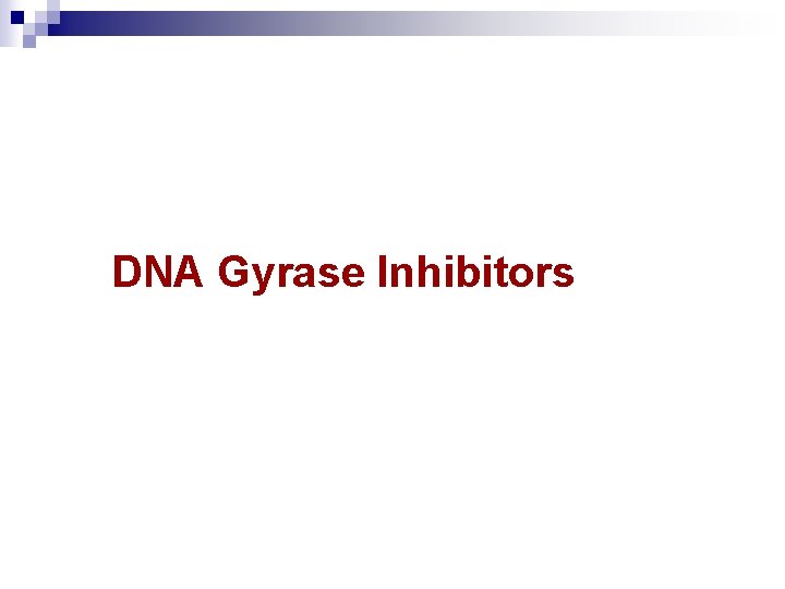 DNA Gyrase Inhibitors 