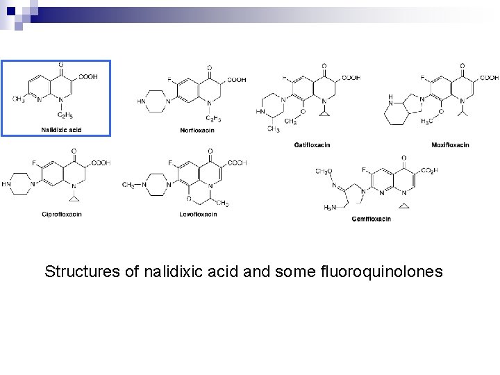 Structures of nalidixic acid and some fluoroquinolones 